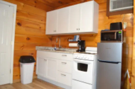 Cozy & efficient cabin w/ river access. Pet Friendly!