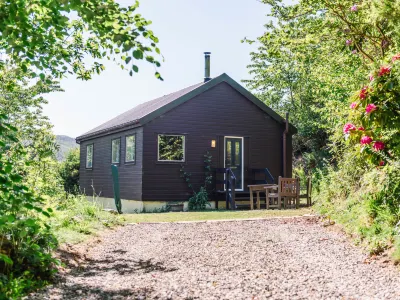 Forest View Castle Cruises Loch Ness 주변 호텔