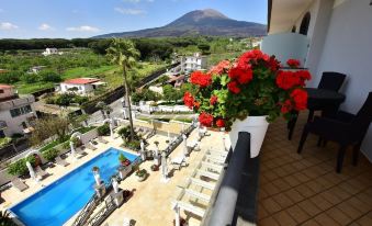 Palazzo Rosenthal Vesuview Hotel & Resort