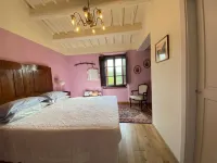 Podere Terreno Alla Via Della Volpaia - Homestays
