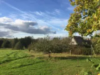 Thatched Cottage B&B
