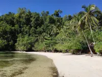 Harmony Bay Resort and Dive Center - Bar