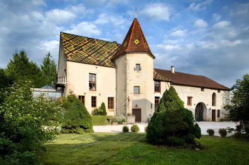 L'Hote Antique - Maison d'Hote- 4 Suites Avec Cuisine Hotels in Bèze