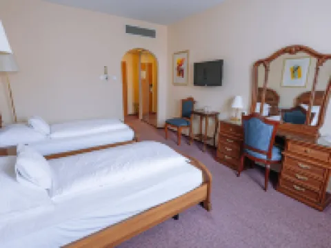 Pannonia Hotel Hotels in Sopron