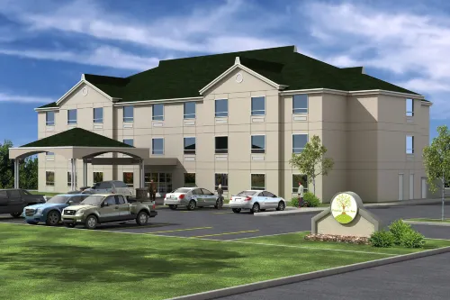 Poplar Tree Inn Hotel a Stoughton