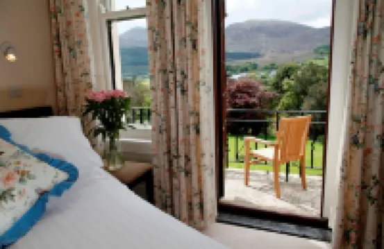 艾尼斯金鄉村別墅酒店 紐卡斯爾酒店