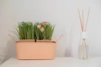 كاميري نيكولينا 3