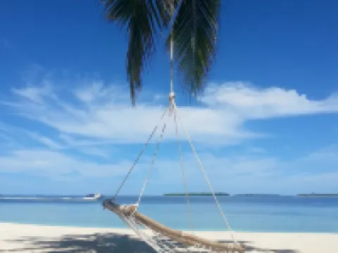 Lvis Blancura Hotel Hotels in Dharavandhoo Island