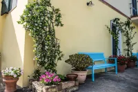 Sorecanu Hotels in Nora