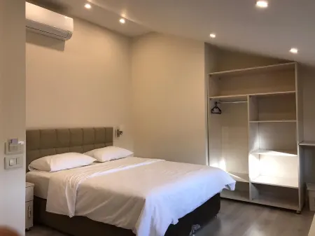 亞克維裡揚精品飯店