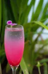 浦那納加爾路諾富特酒店 - 酒吧