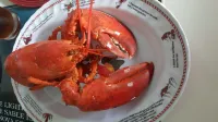 Mama`s by the Sea B&B