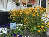 Ballard House Inn Hotels in Meredith