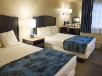 Grant Village - Inside the Park Hotels in Teton County
