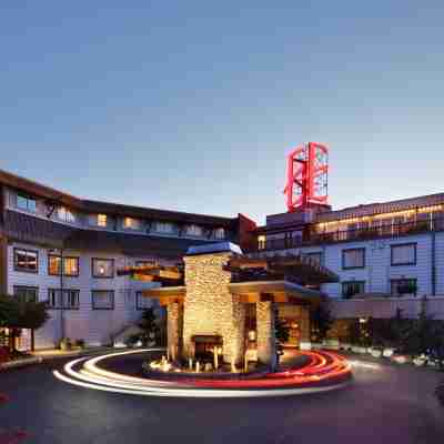 厄齊沃特貴族山莊飯店 Hotel Exterior