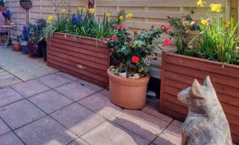 Beach & Dreamland Nearby -Pet Friendly & Garden