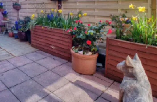 Beach Dreamland Restaurants Nearby- Sunny Garden
