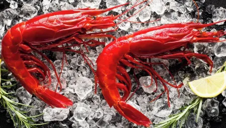 Openspace A Villa Serroni Mazara Отели в г. Мазара-дель-Валло