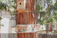 아스터 by Avantstay 북숏 중심부에 위치한 클래식 킹스 비치 코티지 North Tahoe Art Center 주변 호텔