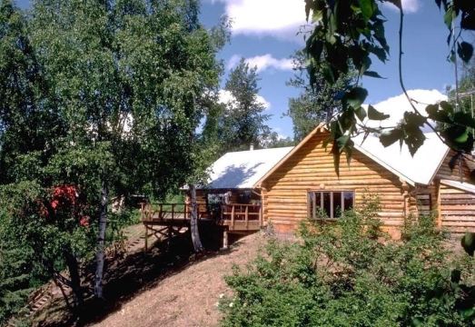 탈 어드벤처스 로지