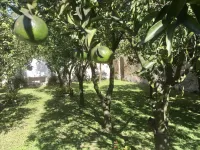 Palazzo Benucci - 魅力之家