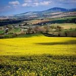 B&B and Self Catering Mon Petit Cottage - 3-Star