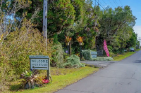 Volcano Artist Cottage