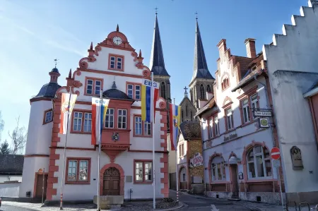 Cozy apartment near the forest Отели рядом с достопримечательностью «Университет Майнца»