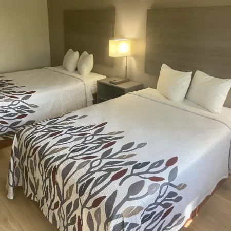 Red Roof Inn Queensbury Отели в г. Аргайл