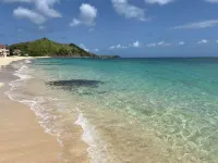 Modern Apartment in Beachfront Residence - Hill View