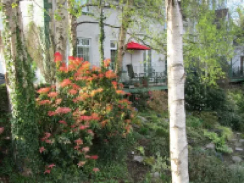 Stoneybrough: A luxury townhouse offering exceptional hospitality for 6/7 guests Hotels in Kenmare