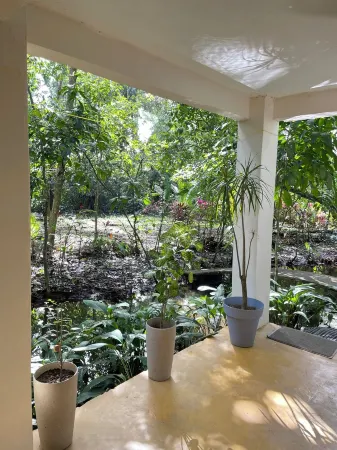 Casa Fresca a 50 Metros de Parque Nacional Tortuguero, Rodeada de Biodiversidad Отели в г. Тортугеро