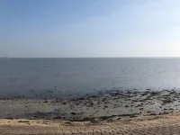 Apartment within walking distance to the water and the center