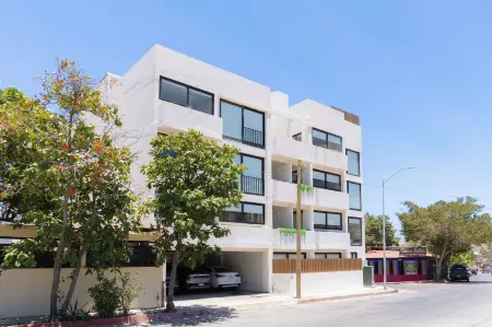 Colmena Marina Cabos