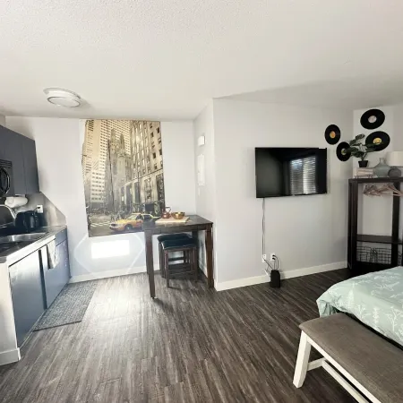 Private/ Pet-friendly Themed Suite with Kitchenette! Fast Wi-Fi, Central