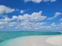 SPECIAL FALL RATE  IS IN  Come enjoy Paradise!