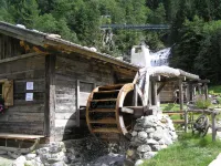 Alfaierhof-Bergheimat - guesthouses
