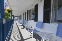 Island View Motel - Motels