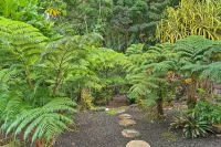 Hilo Oasis - 32 Mi to Volcanoes National Park! - 3 stjerner