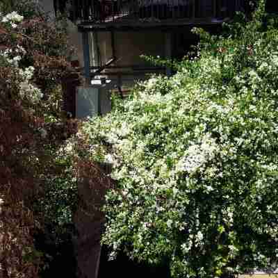 Daher Guest House Nazareth Hotel Exterior