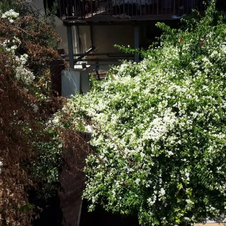 Daher Guest House Nazareth