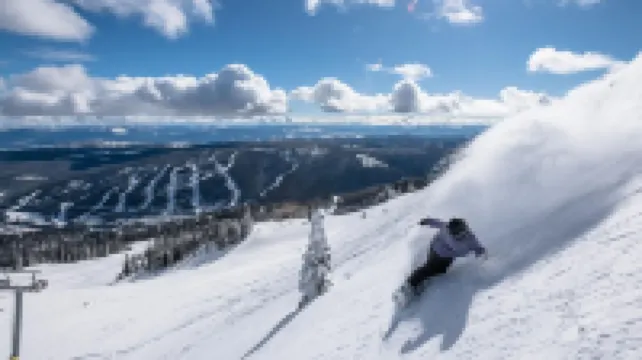 Crystal Forest #29 by Bear Country