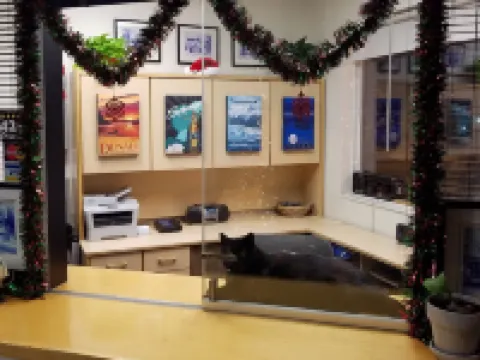 잉그라 하우스 호텔 앵커리지 호텔