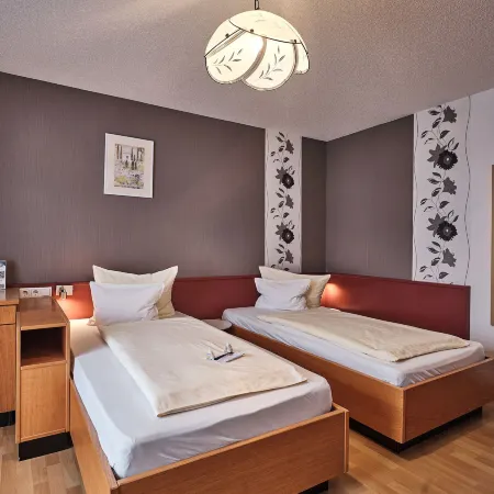 Tiptop Hotel am Hochrhein Отели в г. Бад-Зекинген