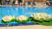 Kassavetis Center - Hotel Studios & Apartments - Beach
