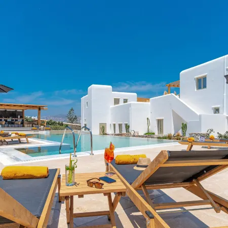 Mykonos Cactus