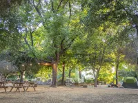 Camping Dafna - by Travel Hotel Chain Hotels in Dafna