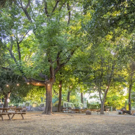 Camping Dafna - by Travel Hotel Chain