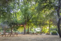 Camping Dafna - by Travel Hotel Chain Hotels near Iyon Stream Nature Reserve