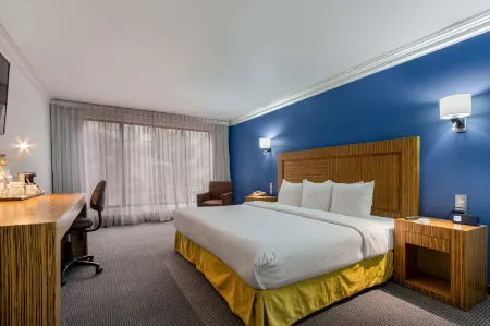 Radisson Hotel Convention Center Toluca